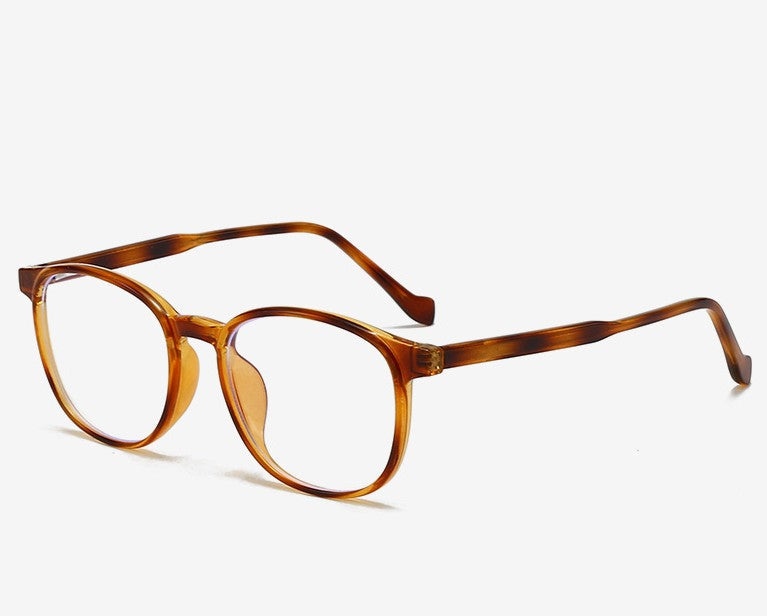 Donato Sunglasses — Tortoise